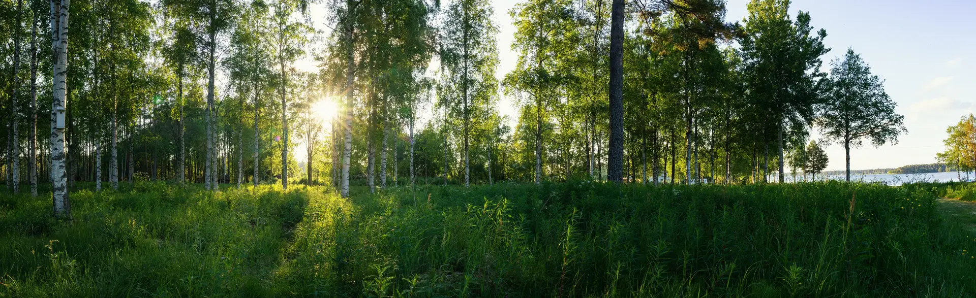 Byta FTX-aggregat Sandviken