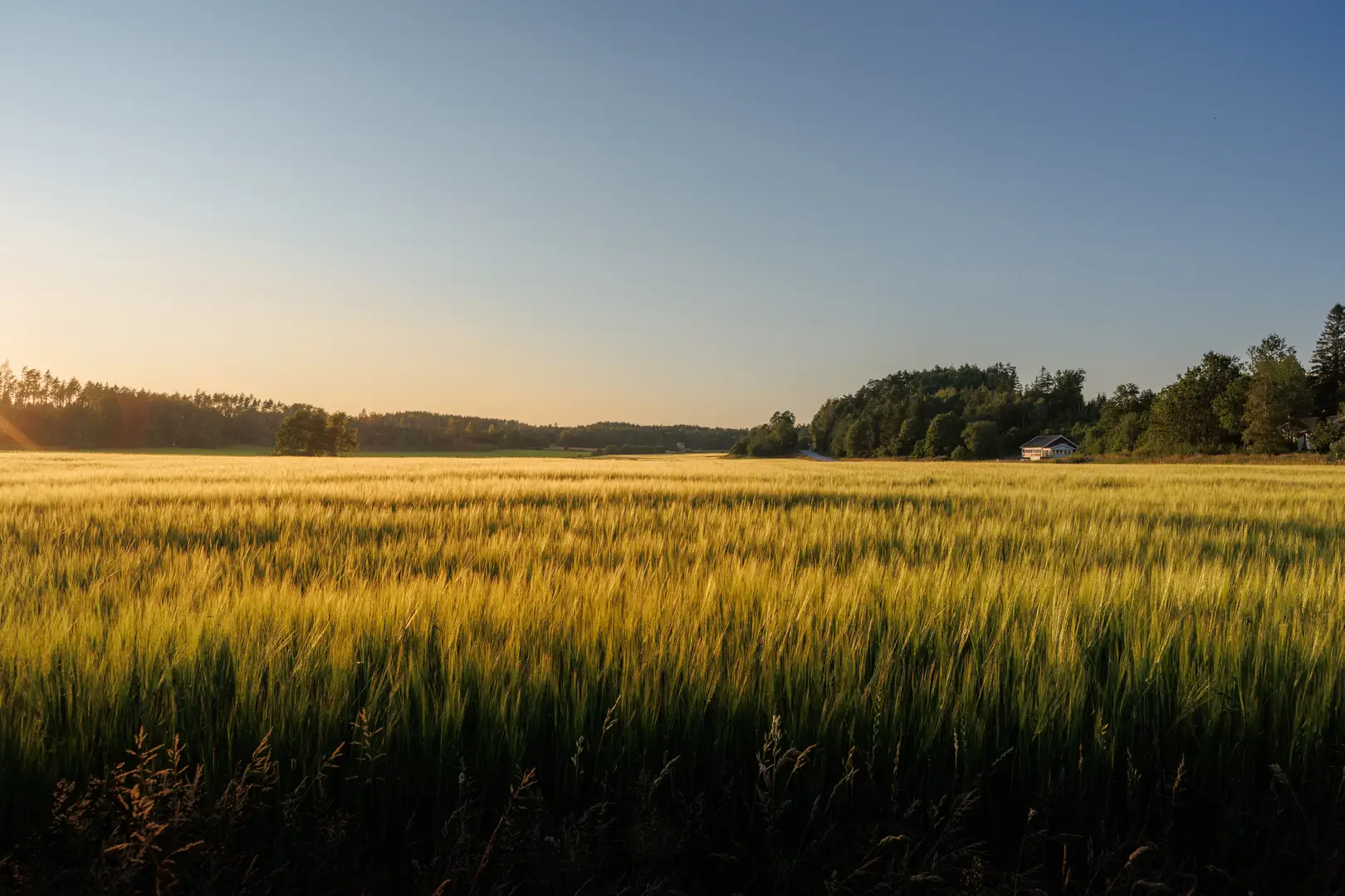 Radonsanering Sandviken